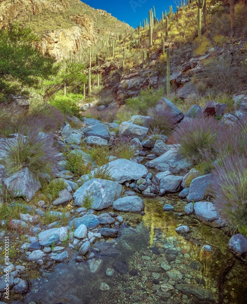 Fototapeta Experience the beauty of a desert terrain featuring vibrant Saguaro cacti, rugged rocks, and soft grass under the clear blue sky, captured in a serene, untouched natural environment.