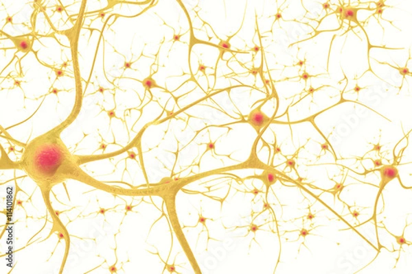 Fototapeta Neurons in the human nervous system with the effect of depth field. 3d illustration on a white background