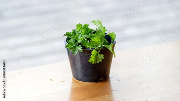 Obraz OLYMPUS DIGITAL CAMERA