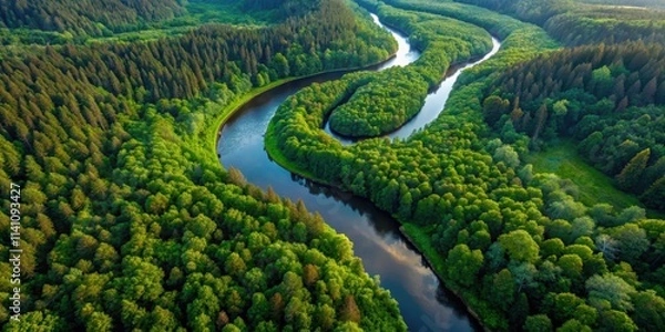 Fototapeta Aerial view of a winding river snaking through a dense forest , forest, river, aerial view, landscape, nature, water