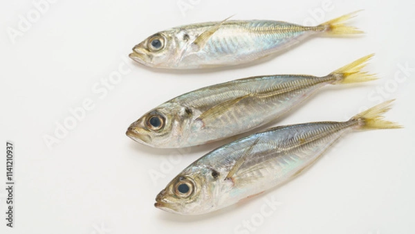 Fototapeta 生の真アジ