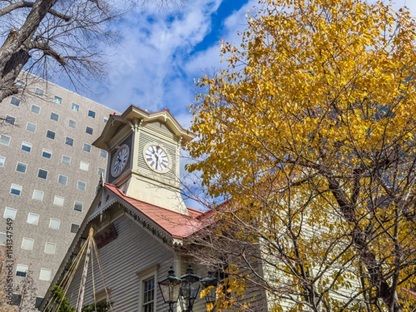 Obraz 【北海道】秋の札幌時計台