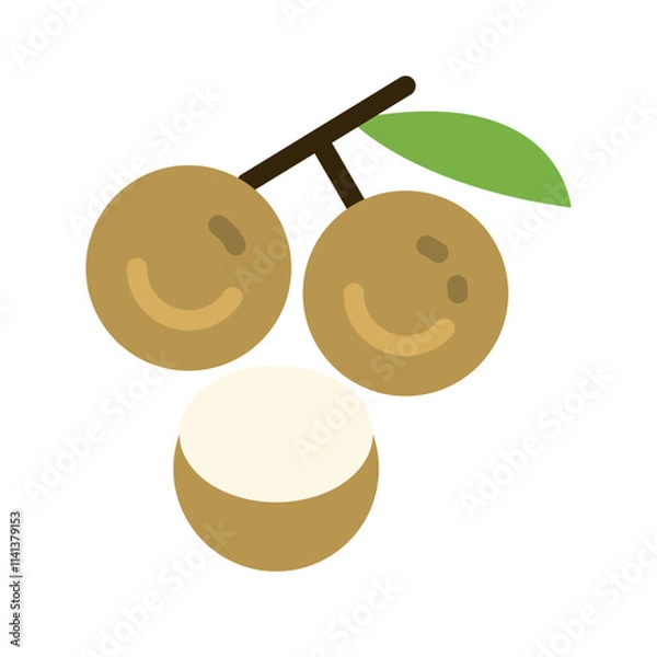 Obraz Longan Icon