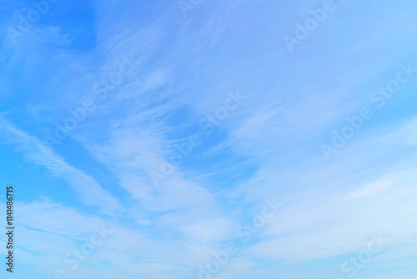 Fototapeta 上空　青空と雲