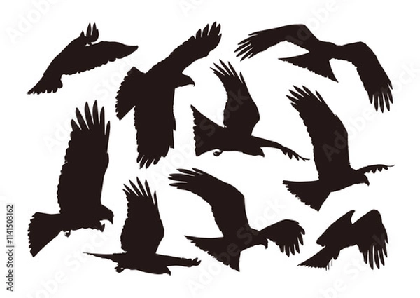 Obraz eagle shadow set of silhouettes of birds