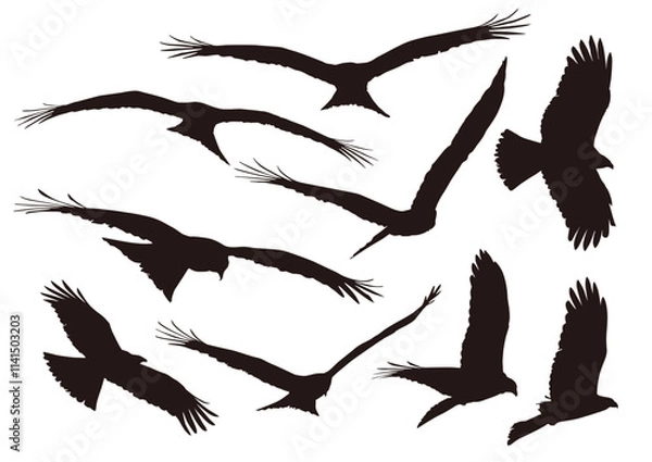 Obraz eagle shadow set of silhouettes of birds