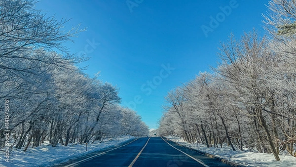 Obraz snow covered road