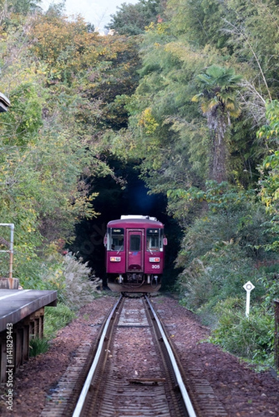Obraz 駅から出ていくディーゼルカー