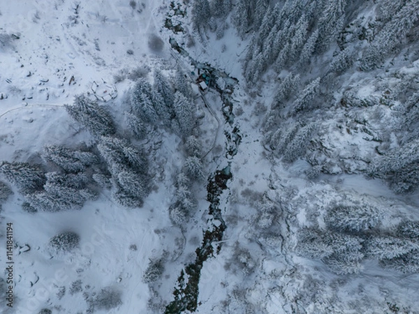 Obraz mountain river with fir trees in snow, view from above