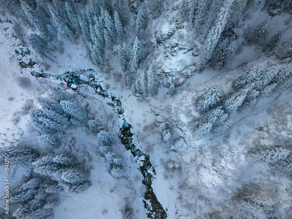 Obraz mountain river with fir trees in snow, view from above