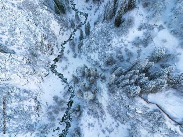 Obraz mountain river with fir trees in snow, view from above