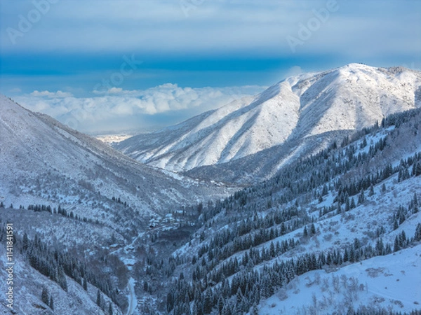 Obraz snowy mountain with fir trees in the snow