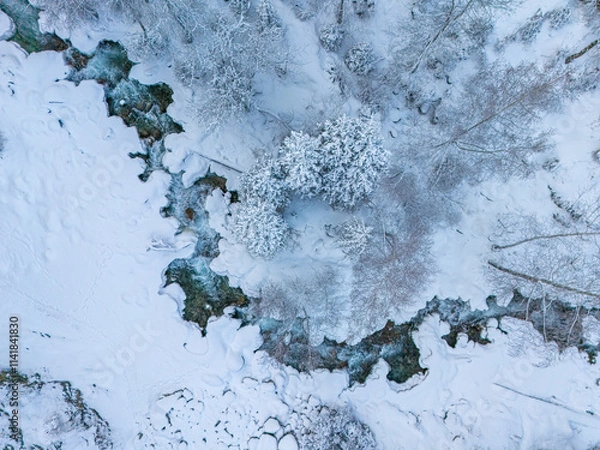 Obraz mountain river with fir trees in snow, view from above