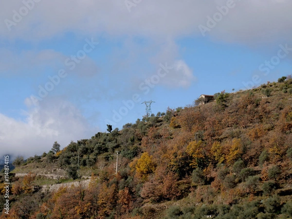 Fototapeta The territory and vegetation in the Lucéram area, France.