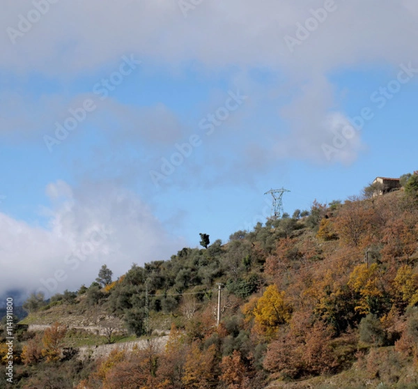 Fototapeta The territory and vegetation in the Lucéram area, France. In the picture, the mountain road with an electric pylon above. 
