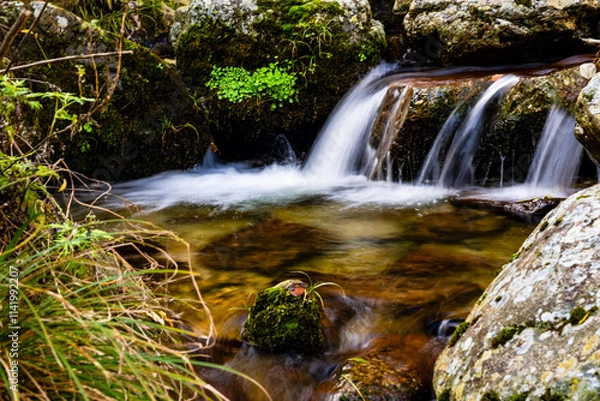 Fototapeta waterfall in the forest