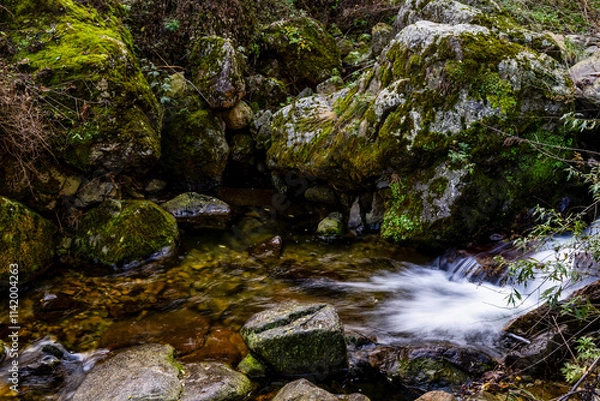 Obraz waterfall in the forest
