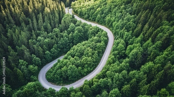 Fototapeta A curvy mountain road with dense trees and greenery, offering a scenic path, highlighted against a clean white background