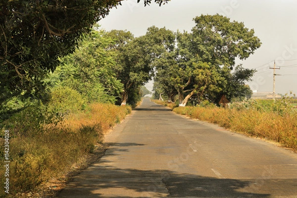 Fototapeta This Photo captured in Indian small village and rural areas in Gujarat India. horizontal empty road, farm land, and lane of electricity pole beautiful village landscape. growing tree on long road.