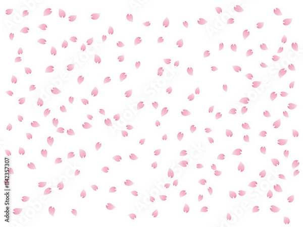 Obraz 背景（桜の花）