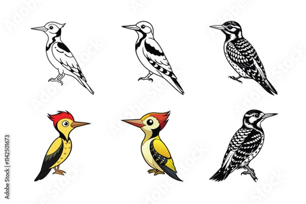 Fototapeta create an image of a yellow bellied sapsucker vector set
