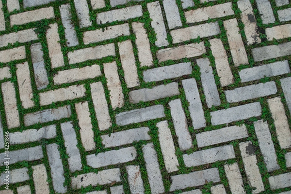 Fototapeta Old cobblestone background with grass / Brick with grass / tiles with grass / stone way in green grass / Bending garden stone path / garden stone path with grass