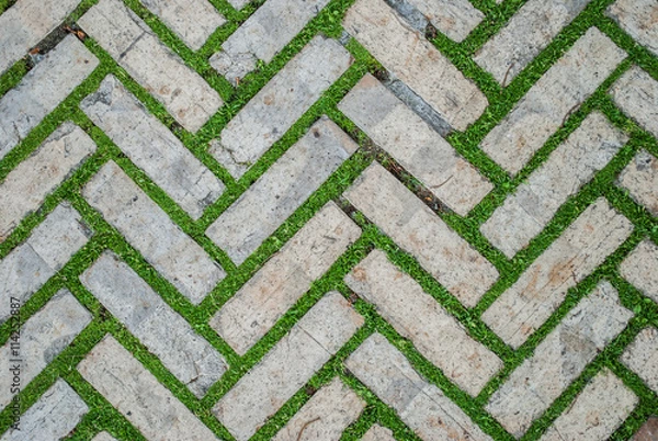 Fototapeta Old cobblestone background with grass / Brick with grass / tiles with grass / stone way in green grass / Bending garden stone path / garden stone path with grass