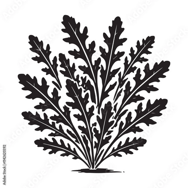 Fototapeta Arugula Silhouette Vector Illustration, Solid White Background.