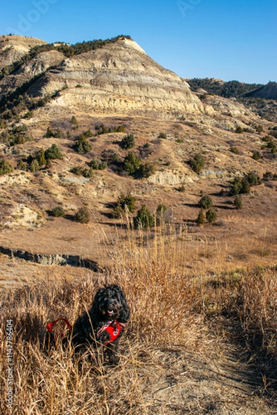 Obraz Dog walk in badlands