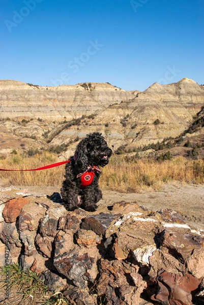Obraz Dog walk in badlands