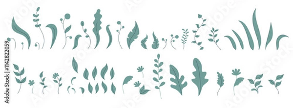 Fototapeta Collection of botanical silhouettes, featuring various leaves, plants, stems, and floral elements.