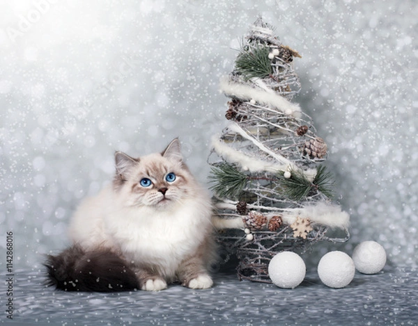 Obraz Siberian cat on snowy background in winter holidays
