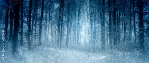 Obraz dark fantasy winter forest panorama