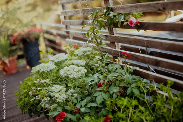 Obraz rośliny na tarasie