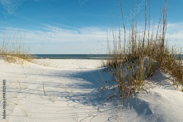 Obraz Peaceful Path to Heavenly Florida Beach