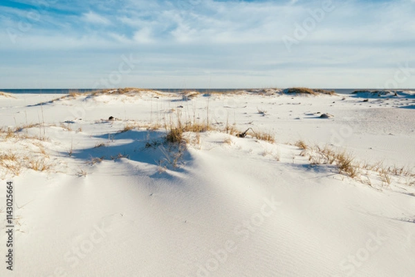 Fototapeta Sunny Deserted Beach  with no trace of people
