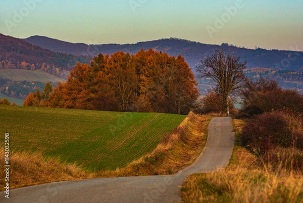 Fototapeta a road surrounded by fields leads into the autumn distance