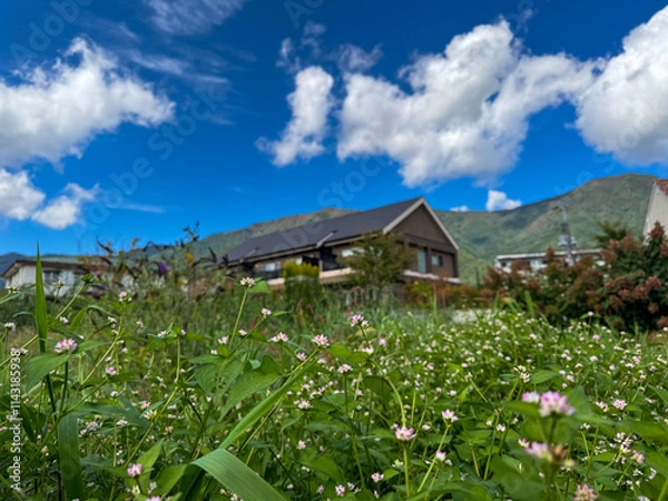 Obraz house in the mountains