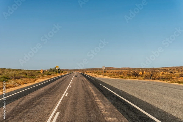 Obraz Australien road in the Outback with trees on the Roadside