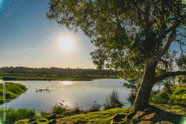 Obraz sunset view on a lake in western australia