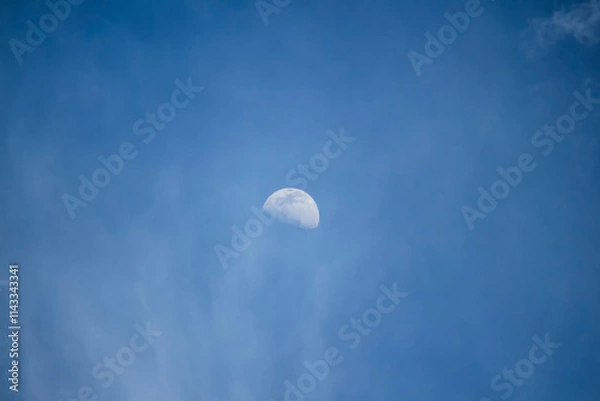 Fototapeta moon and clouds