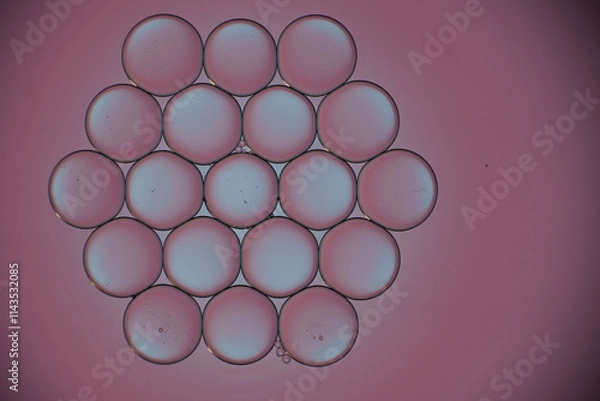 Obraz Muted pink circular patterns in abstract geometry