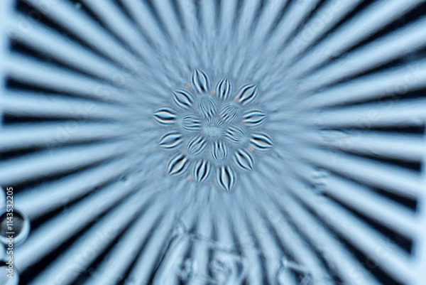 Obraz Abstract radial pattern with subtle floral center