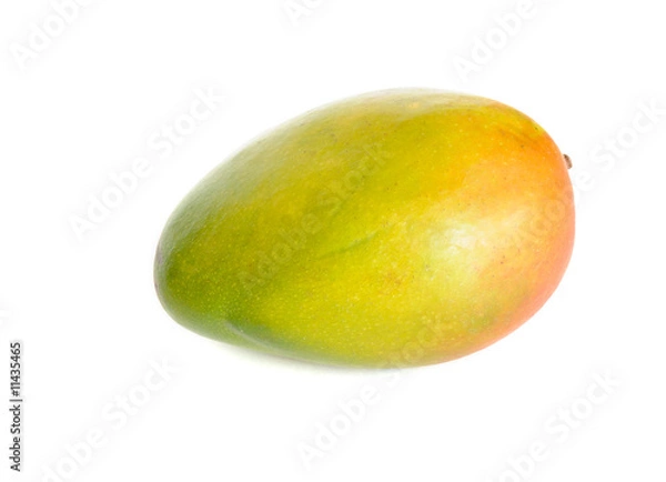 Obraz Mango fruit isolated on white background
