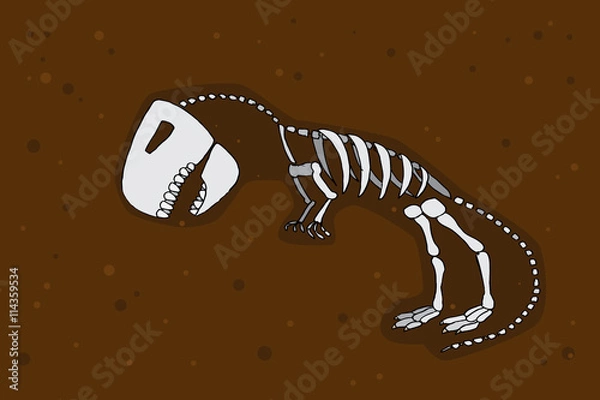 Fototapeta Tyrannosaurus rex fossil