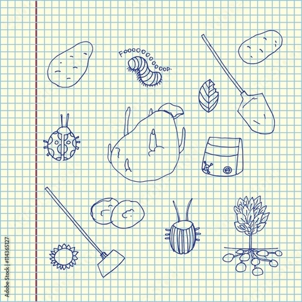 Fototapeta Potato growing set