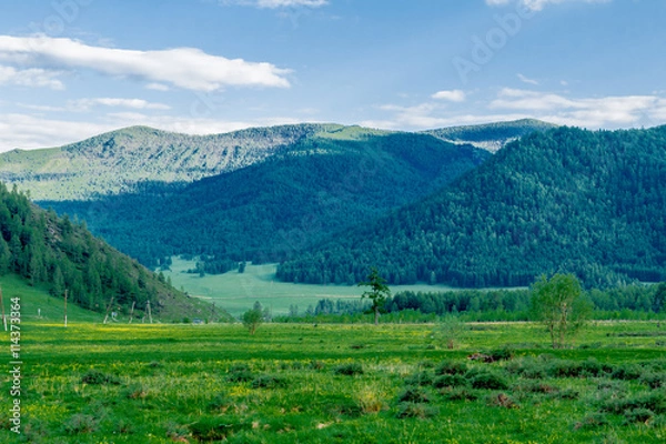 Obraz Altai Mountain in summer