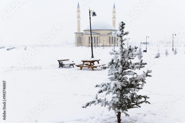Fototapeta Pine tree covered with snow with bench and mosque background
