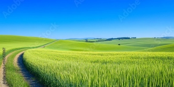 Obraz Vibrant green winter wheat fields stretch across the landscape under a sunny spring day, complementing the clear blue sky above and the scenic highway winding through the wheat fields.