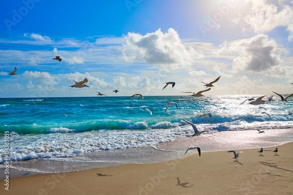 Obraz Plaża Singer Island w Palm Beach na Florydzie w USA